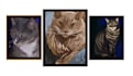 create a custom painting from supplied images and photos