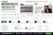 create modern responsive wordpress website with premium design