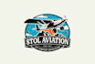 design high quality aviation logo with satisfaction guaranteed