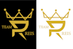 edit, enhance, refresh or improve logo quality