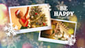 do christmas slideshows for you