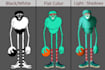 create an amazing character