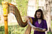 give you online harp lessons