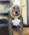 draw your pet in a cartoon digital style