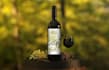 design wine bottle label,product label and mockup