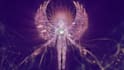 provide a professional, accurate psychic reading