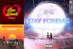 design single cover art, music cover or cd cover in 24 hours