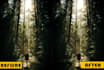 enhance your images with enlarging,sharpening and denoising