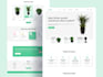 do professional web and mobile ui ux design