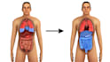 create 3d medical animation and illustration