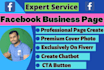 create very attractive design and optimize your facebook business page