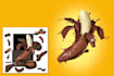 edit high quality images to perfection with creative photo manipulation