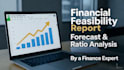 prepare financial feasibility study, forecast, and ratio analysis report