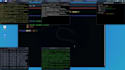 pentest your web, mobile app for vulnerability with report
