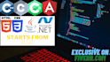 develop stunning angular framework web applications