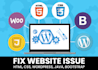 professionally fix wordpress CSS, design issues, bugs, and errors quick fast