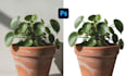 photo background removal by photoshop