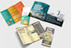 do professional flyer and poster design for your business