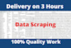 be your virtual assistant web research data entry copypaste