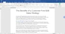 write SEO business blogs, articles, website content