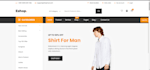 fix bugs or develop website using php laravel