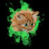 draw your pet into vector art