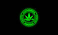 design cannabis creative logo