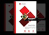 provide professional and creative flayer design