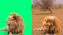 do vfx, rotoscoping, and chroma keying professionally