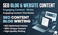 write seo friendly blog articles and engaging website content for you