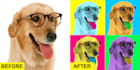 make an awesome andy warhol pop art portrait within 24 hours