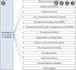 assist in accounting, bookkeeping, and management accounting tasks