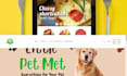 setup profitable shopify website or shopify store design