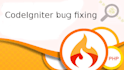 laravel codeigniter expert for app development and bug fixes