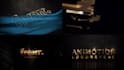 custom luxury logo animation intro video