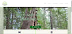 build a simple website and good wordpress website