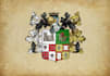 create a stunning heraldic logo