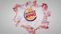 create 5 stunning animated logo intro videos in 24 hours