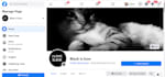 do impressive professional facebook business page creation