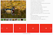 develop a responsive website with HTML, CSS, bootstrap