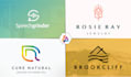 create the impressive logo for your business entity