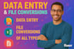do accurate data entry and file conversions of all types