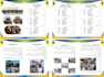 develop a creative prospectus and company profile for you