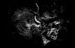 draw scribble art on black background from your photo