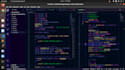 do socket programming and network programming tasks