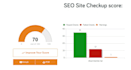 provide professional website audit report