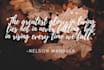 design motivational quotes within 1 hours