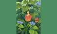 create landscape and nature illustration for any use