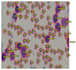 do computer vision deep learning tasks with python