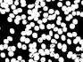 do computer vision deep learning tasks with python